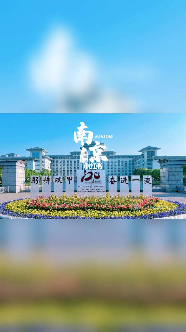 南京农业大学(南京农业大学是985还是211)