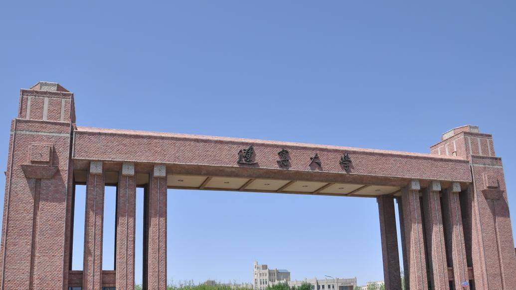 辽宁大学(辽宁大学是985还是211)