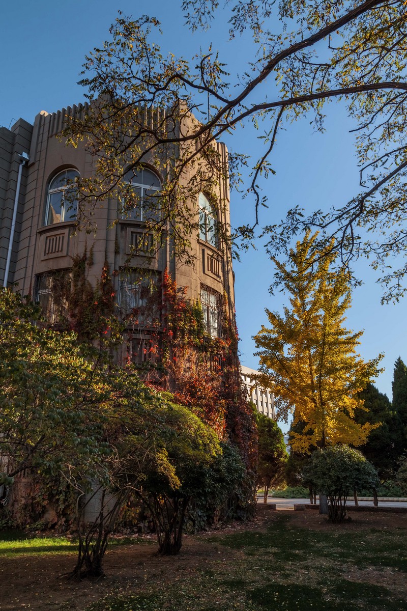 辽宁大学(辽宁大学是985还是211)