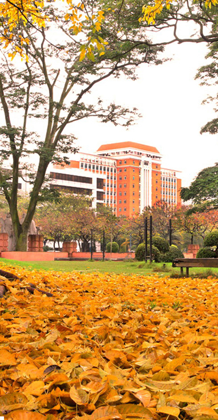 华南师范大学(华南师范大学研究生招生信息网)