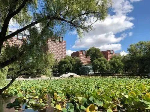 东北师范大学(东北师范大学在哪个城市)