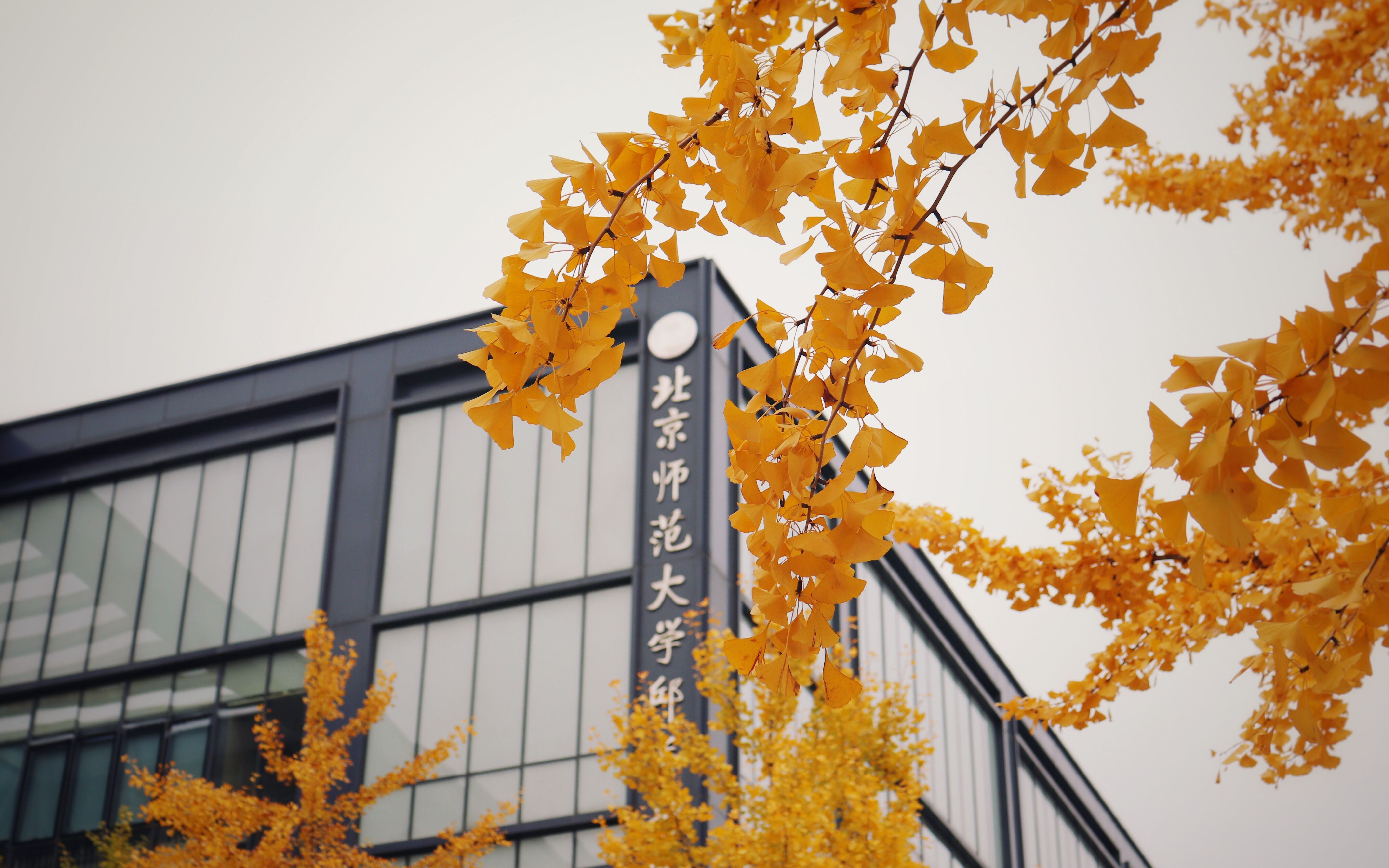 北京师范大学(北京师范大学成人高考)