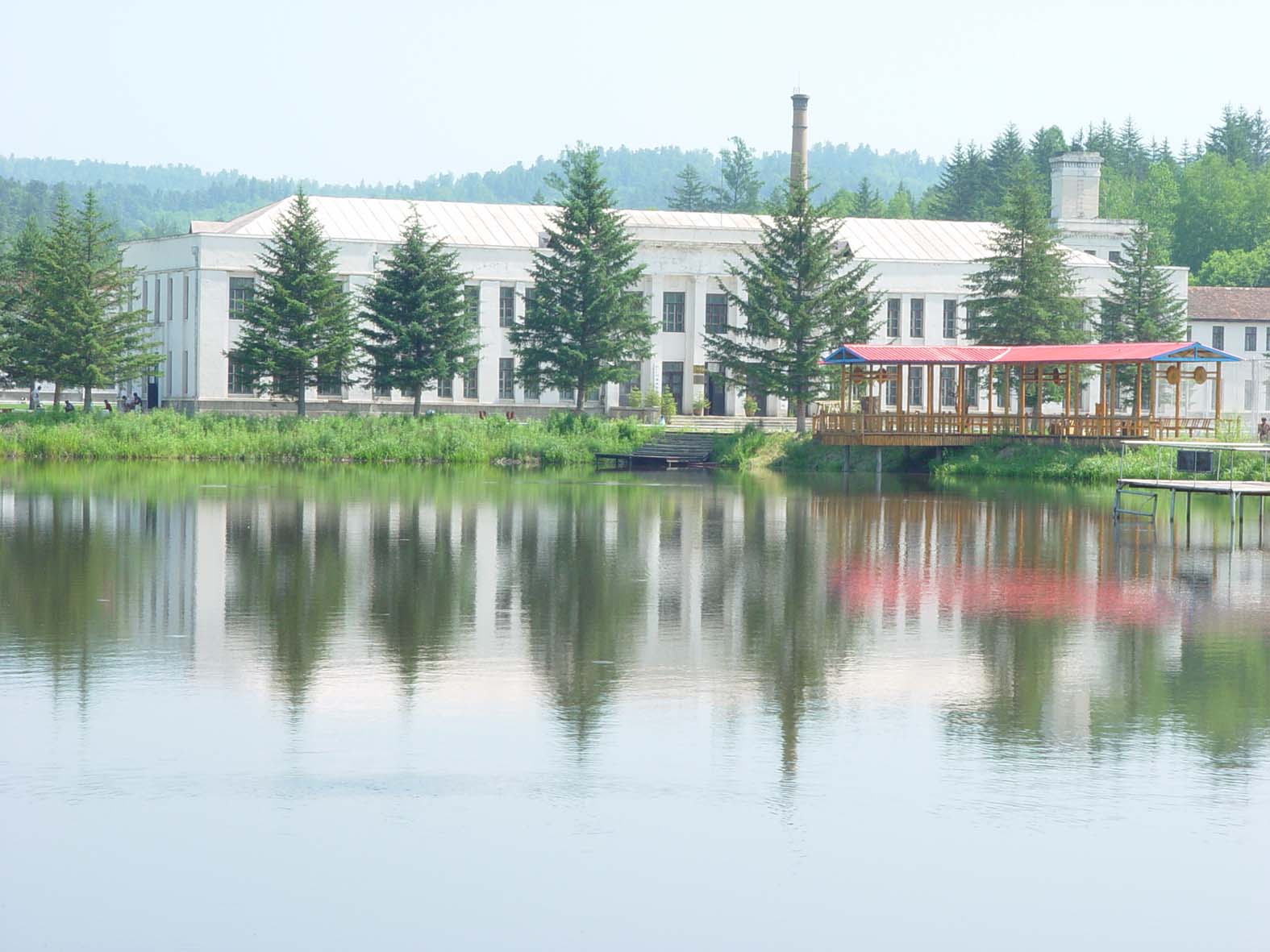 东北林业大学毕业证(东北林业大学毕业证能补办吗)