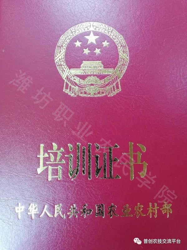 中国农业大学文凭(中国农业大学农学毕业)