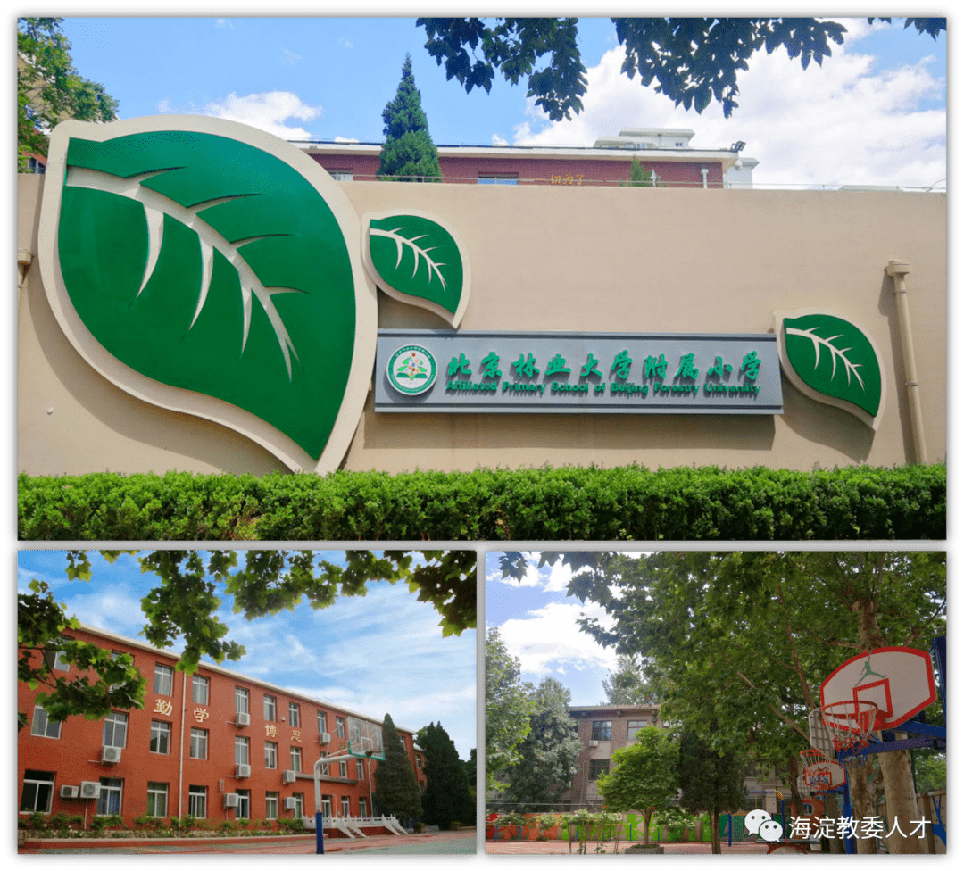 北京林业大学文凭(北京林业大学在读本科生)