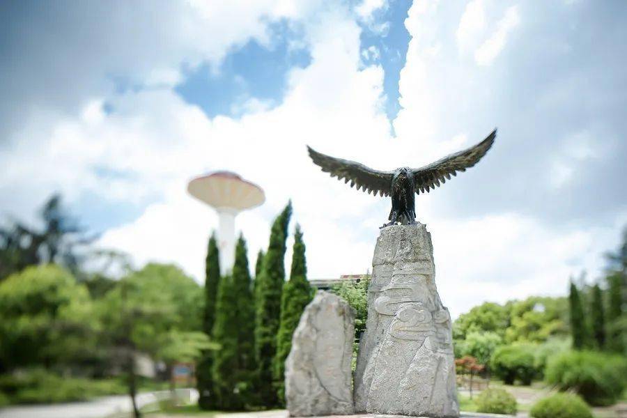 上海财经大学文凭(上海财经大学本科毕业)
