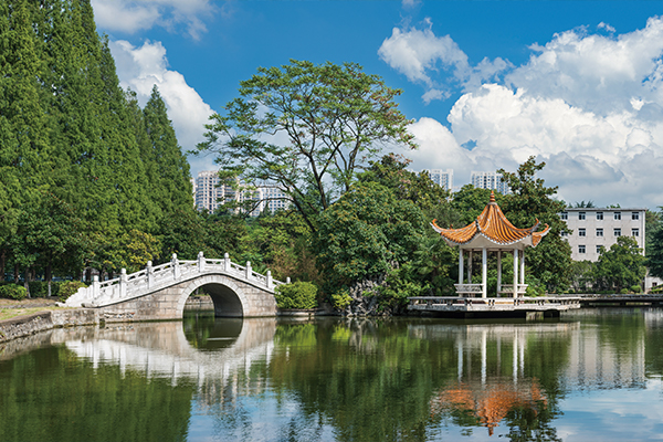 合肥工业大学(合肥工业大学宣城校区)