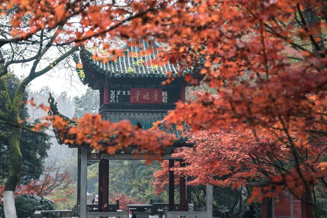 湖南大学(湖南大学在职研究生招生简章2024年)