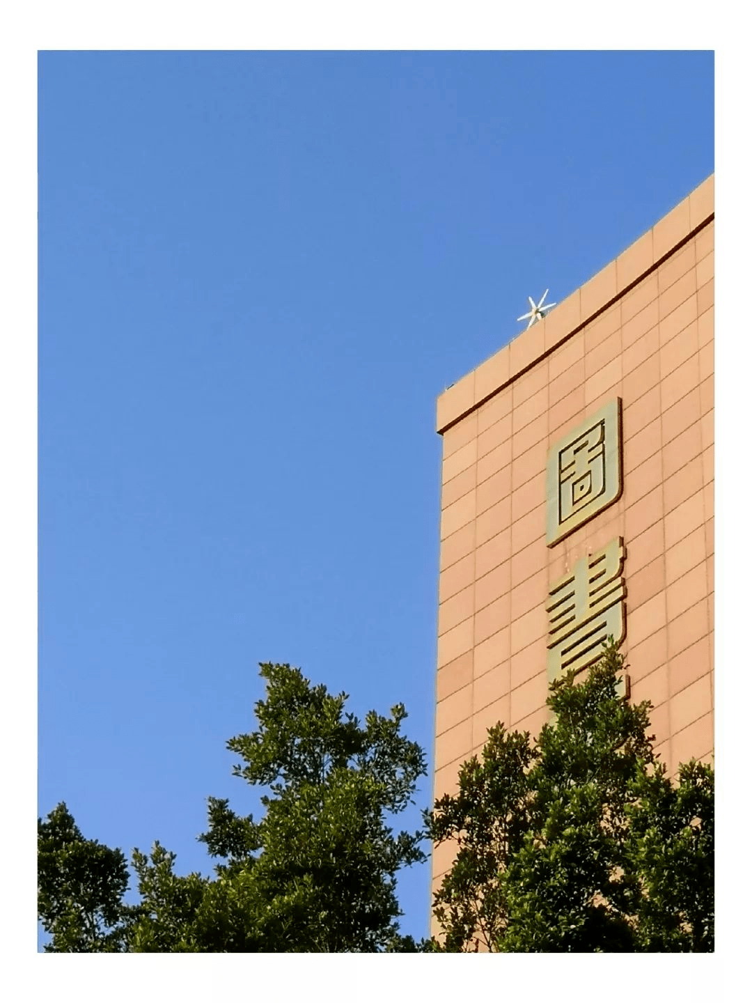 华南理工大学毕业证(华南理工大学毕业证样本)