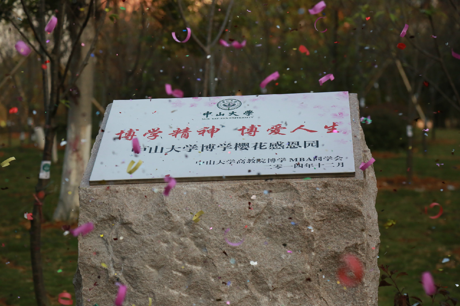 中山大学文凭(中山大学文凭作假案再审)