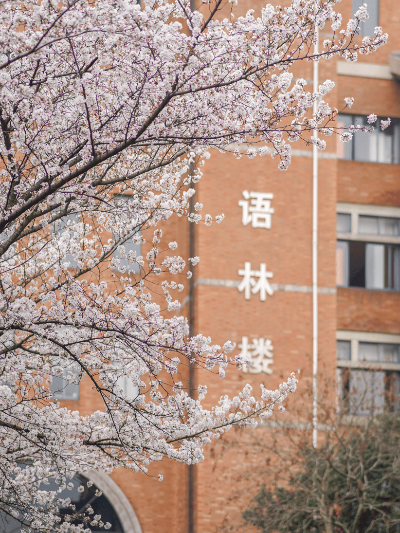 浙江工业大学正方教务管理系统