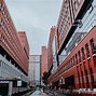 中国政法大学毕业条件