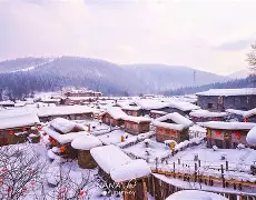 哈尔滨工程大学毕业证编号是多少